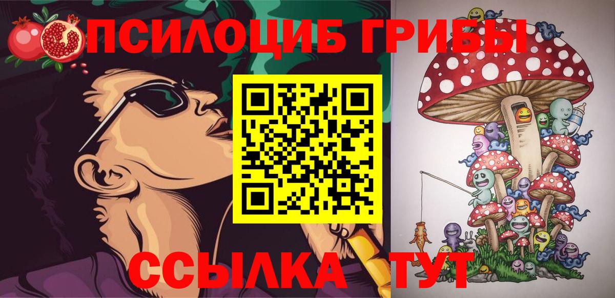 Псилоцибиновые грибы Magic Shrooms  купить наркотики сайты  Чистополь  Вход с VPN 