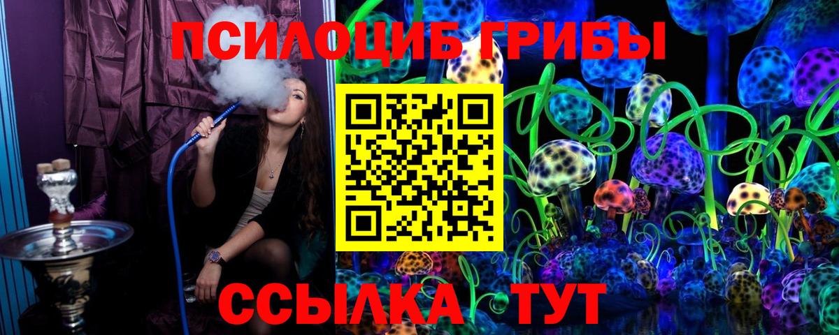 Псилоцибиновые грибы мицелий Чистополь